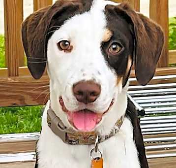 Photo of Staley