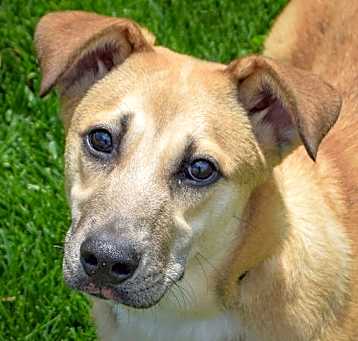 Photo of Meeka