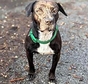 Photo of Swiper