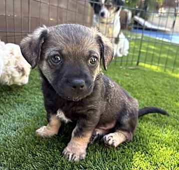 Photo of COLBY