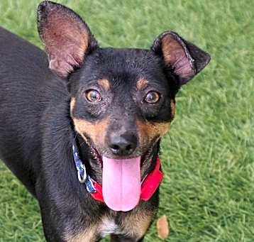 Photo of Maverick