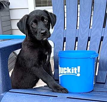 Photo of Ranger