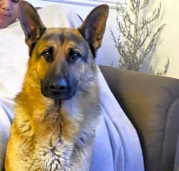 Photo of Rocky