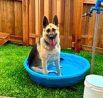 Photo of Marley