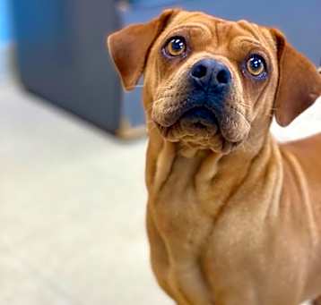 Photo of Annabelle