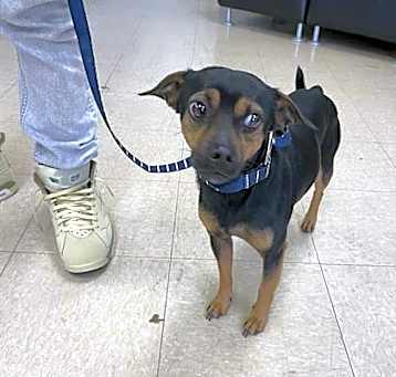 Photo of STRAY HOLD