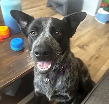 Photo of Onyx