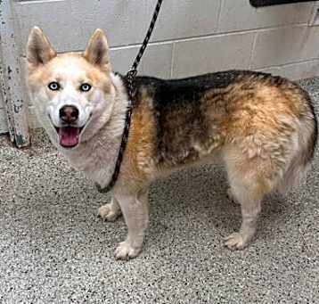 Photo of Hazel