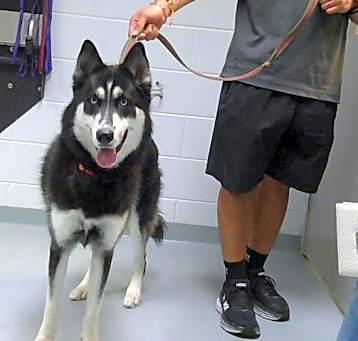 Photo of ZEUS