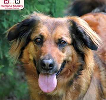Photo of Carmen
