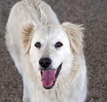 Photo of Arabelle