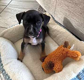 Photo of Olivia