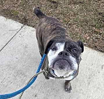 Photo of Missy