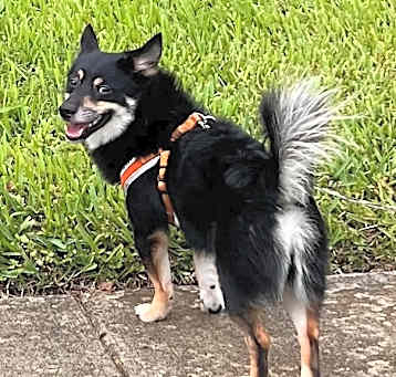 Photo of Arlo