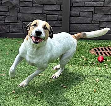 Photo of Ranger 0986