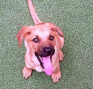 Photo of Echo