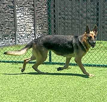 Photo of Roxy 0432