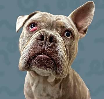 Photo of Marlo