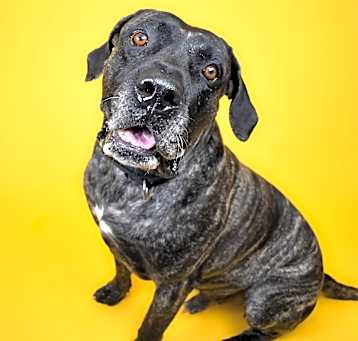 Photo of Bruce