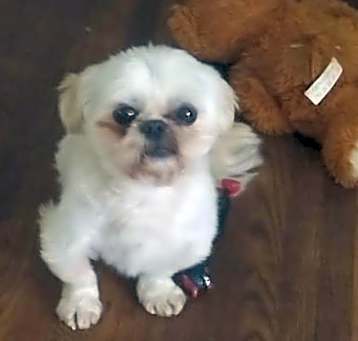 Photo of Bernie