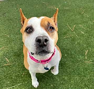Photo of Holly