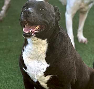 Photo of Vera