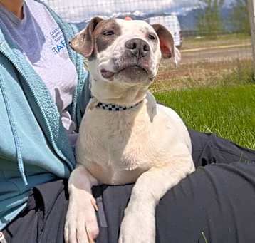 Photo of Dot