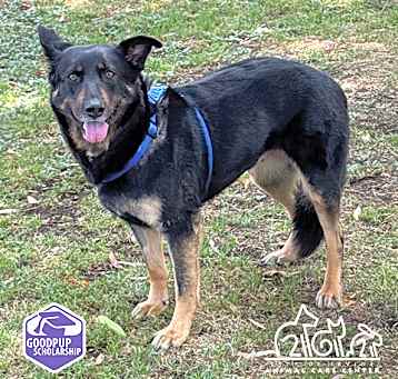 Photo of KATARA