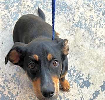 Photo of STRAY HOLD