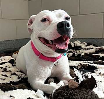 Photo of ZUZU