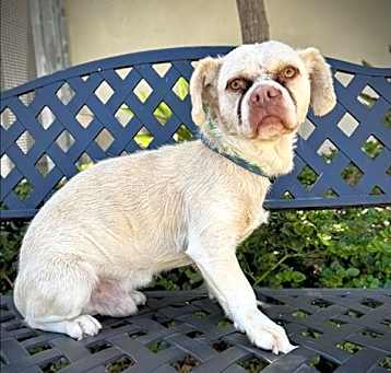 Photo of BUSTER