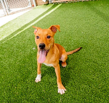 Photo of Vinnie