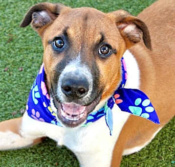Photo of Booker