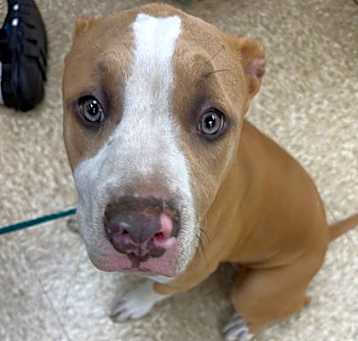 Photo of DaVinci