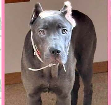 Photo of Leilani