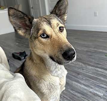 Photo of Luna
