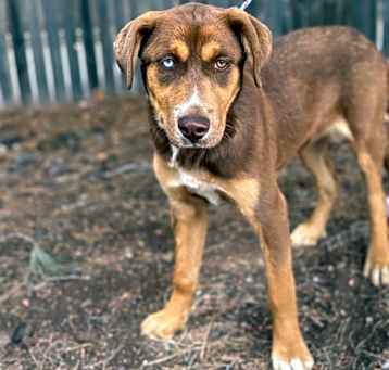 Photo of Dorothy