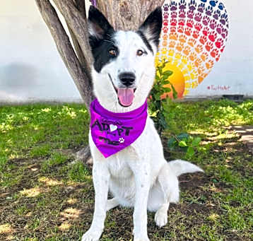Photo of Blanca 25-04-194