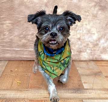 Photo of Lucky-RTO