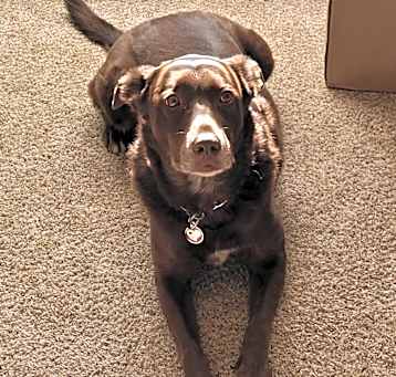 Photo of Coco