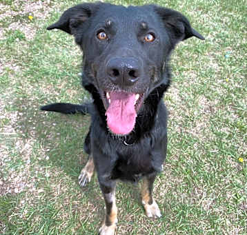 Photo of Duke