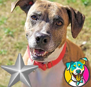 Photo of Dorothy (Dottie)