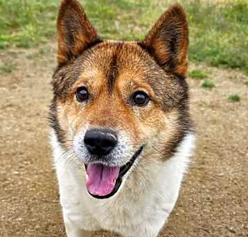 Photo of Tayo