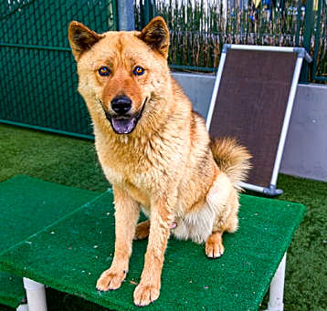 Photo of MOMO