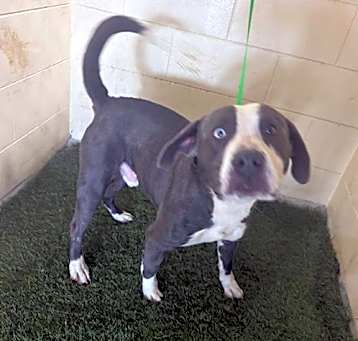Photo of A1231229