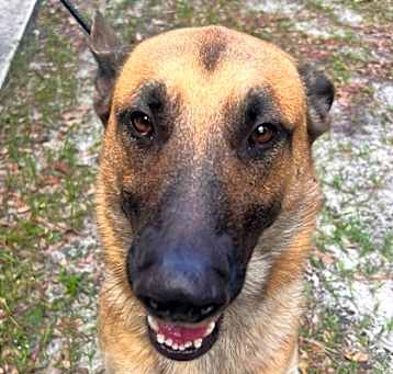 Photo of Pancho