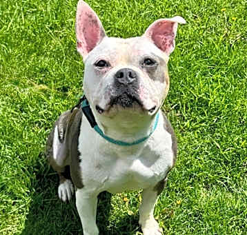 Photo of Roko