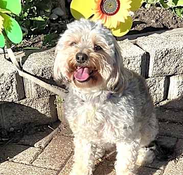 Photo of LunaLee