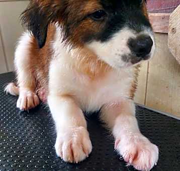 Photo of Keiko