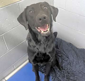 Photo of Rumble